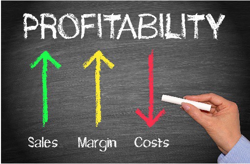business plan path to profitability