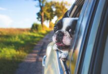 Choosing The Perfect Vehicle For Memorable Weekend Road Trips Choosing The Perfect Vehicle For Memorable Weekend Road Trips